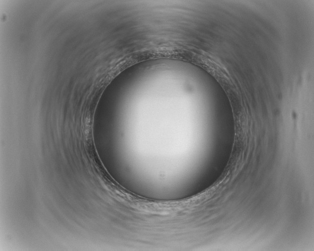 X0000059060033200510281644