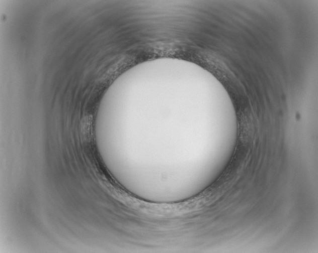 X0000059060034200510281644