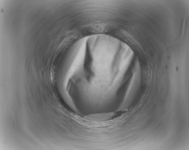 X0000059060035200510281644