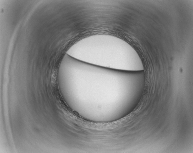 X0000059060037200510281644