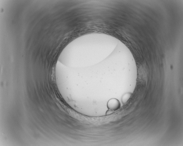 X0000059060038200510281644