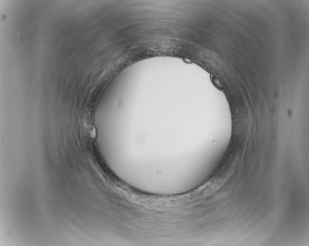 X0000059060040200510281644