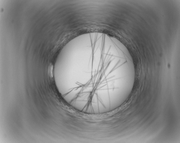 X0000059060041200510281644