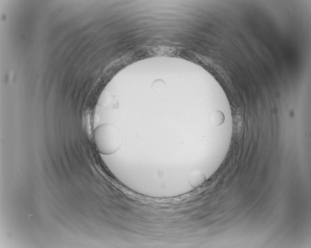 X0000059060042200510281644