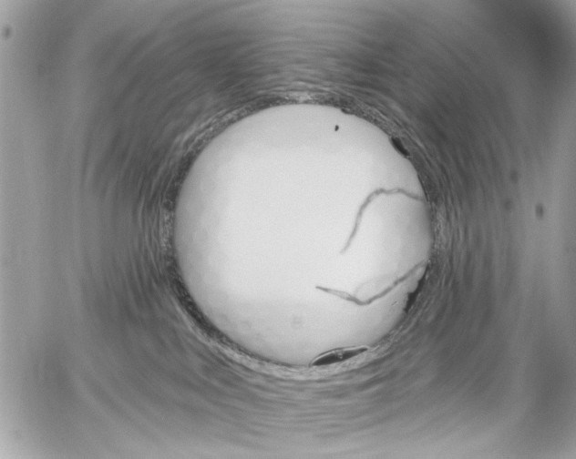 X0000059060043200510281644