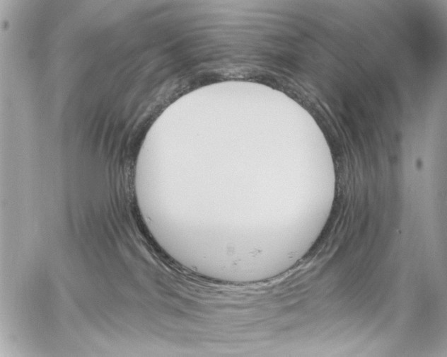 X0000059060044200510281643