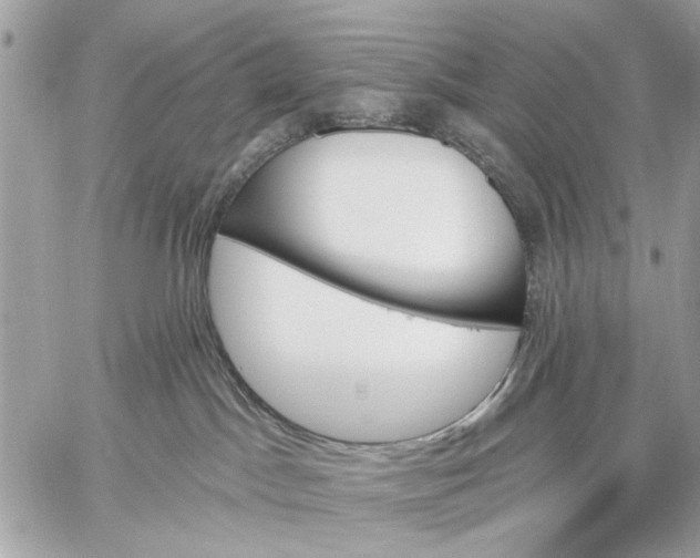 X0000059060045200510281643