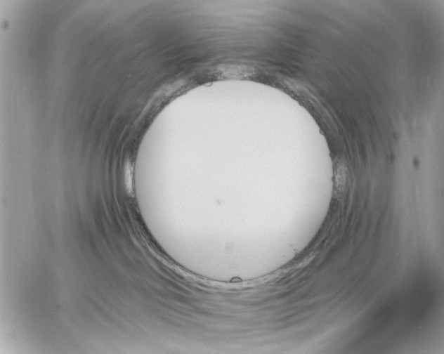 X0000059060046200510281643