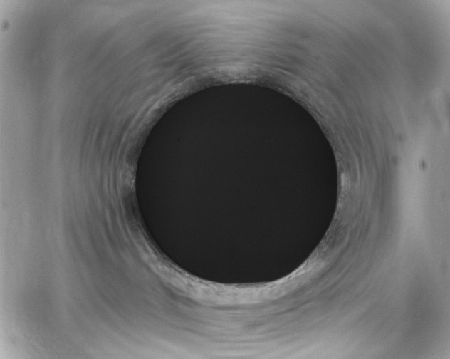 X0000059060048200510281643