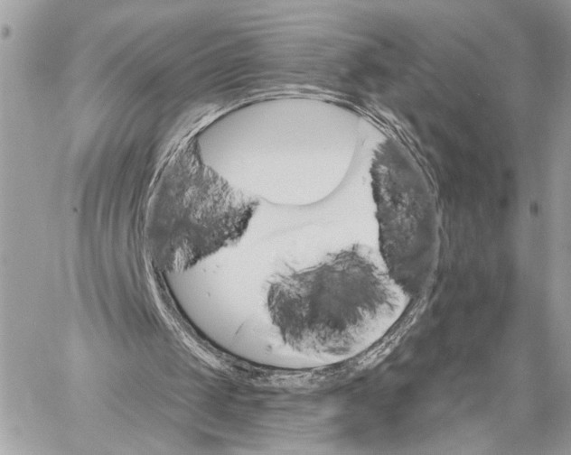 X0000059060049200510281643