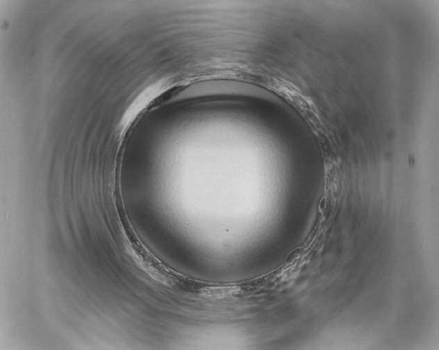 X0000059060051200510281643