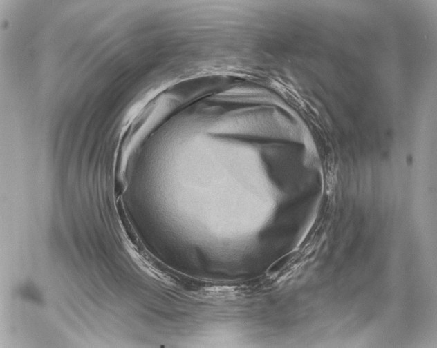 X0000059060052200510281643