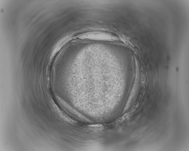 X0000059060053200510281643