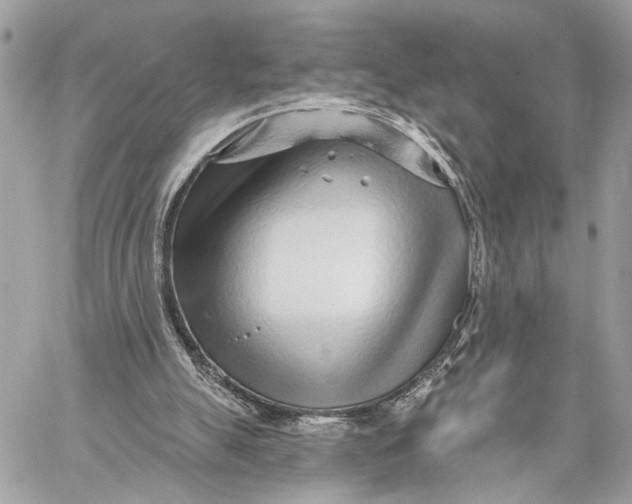 X0000059060055200510281643