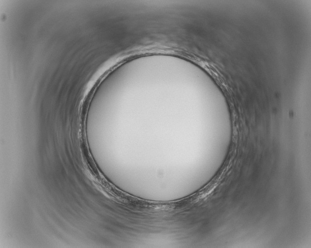 X0000059060056200510281643