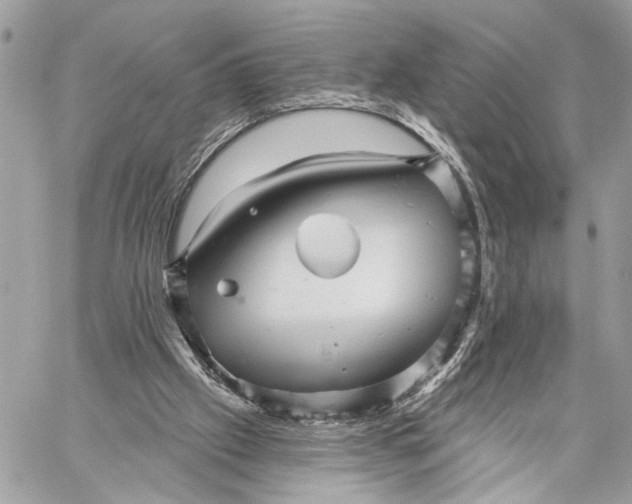 X0000059060057200510281643