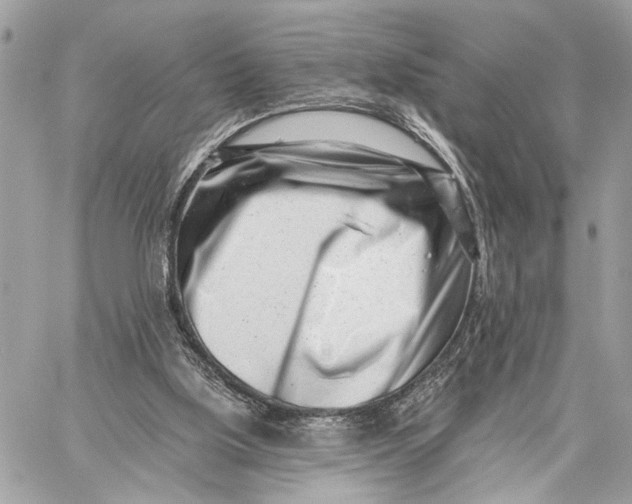 X0000059060059200510281643