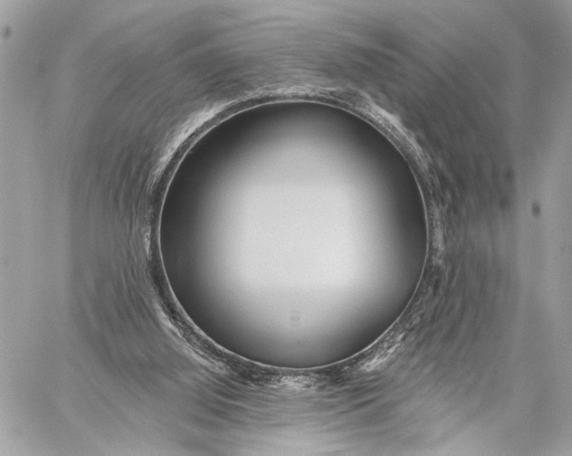 X0000059060060200510281643