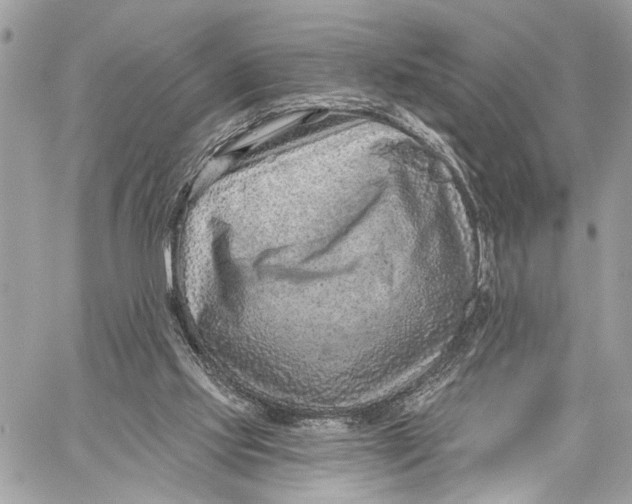 X0000059060061200510281643