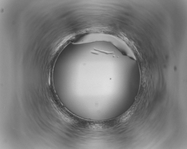 X0000059060062200510281643