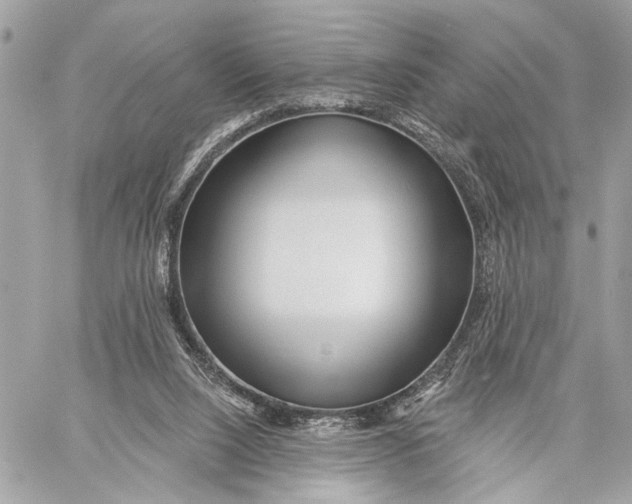 X0000059060064200510281643