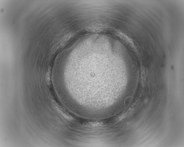 X0000059060065200510281643