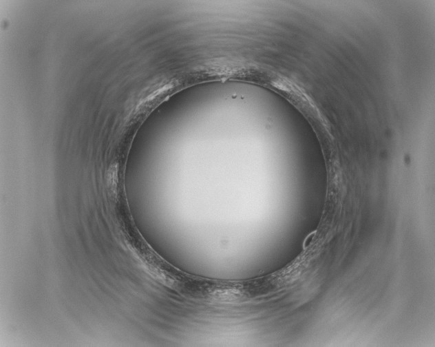 X0000059060066200510281643