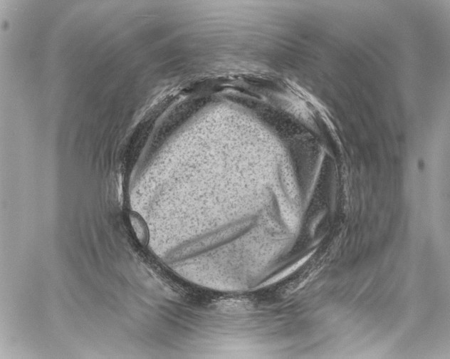 X0000059060067200510281643