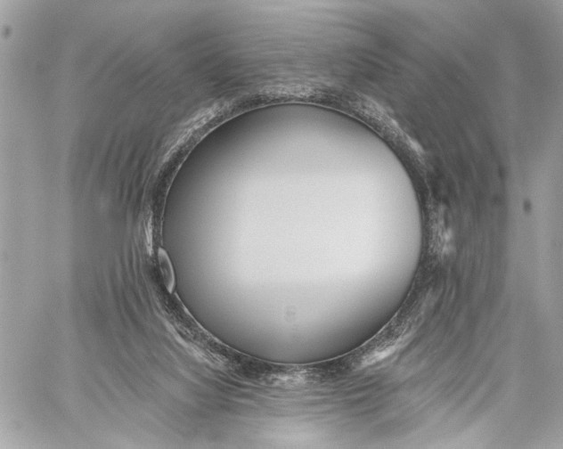 X0000059060068200510281643