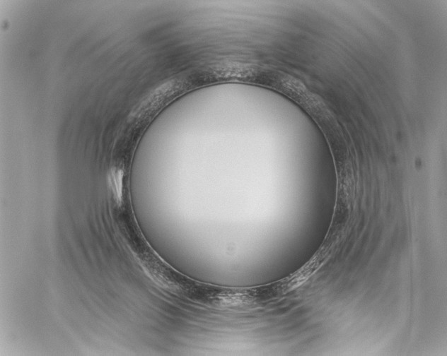 X0000059060070200510281643