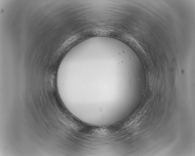 X0000059060071200510281643