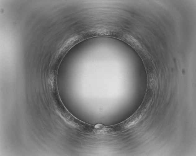 X0000059060072200510281643