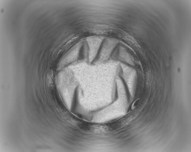 X0000059060073200510281643