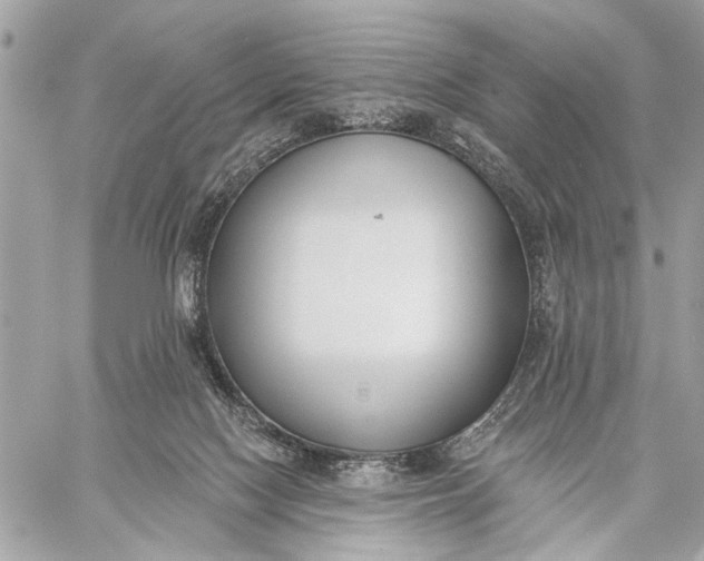 X0000059060074200510281643