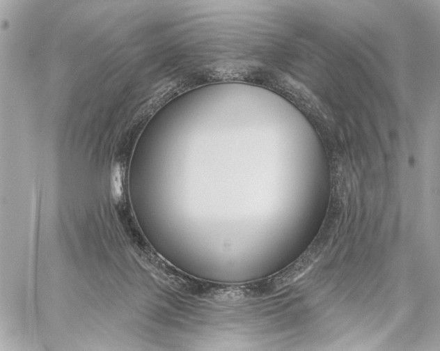 X0000059060075200510281643