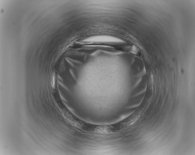 X0000059060076200510281643