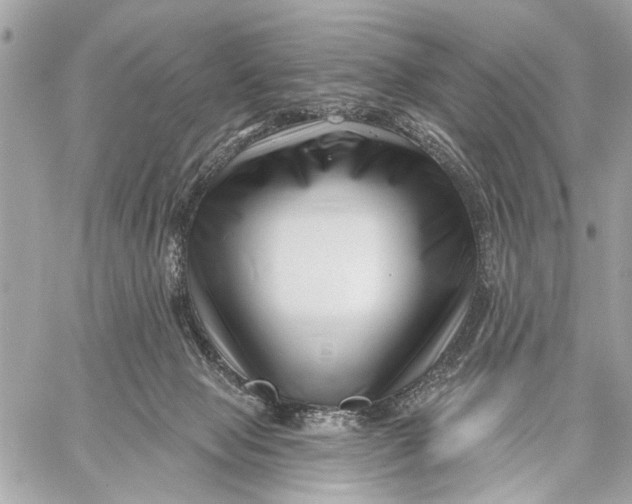 X0000059060077200510281643