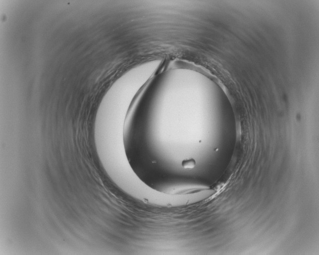 X0000059060078200510281643