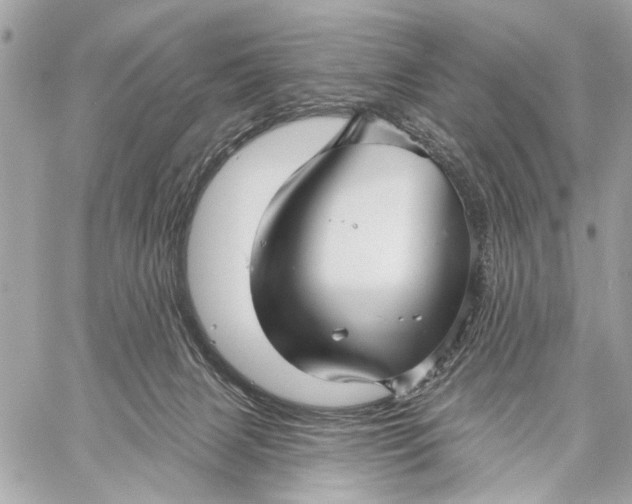 X0000059060079200510281643