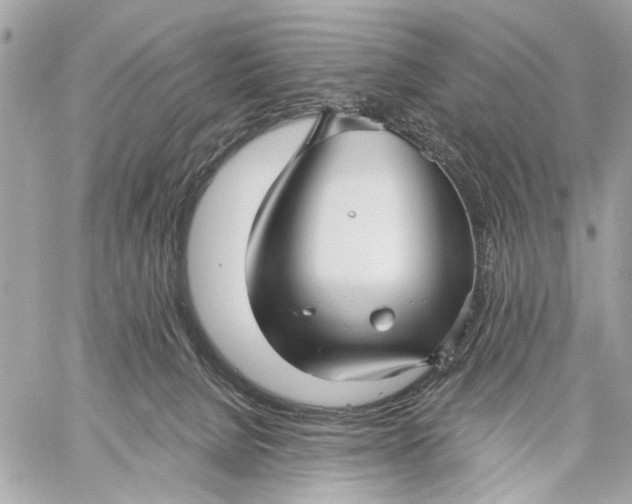 X0000059060080200510281643