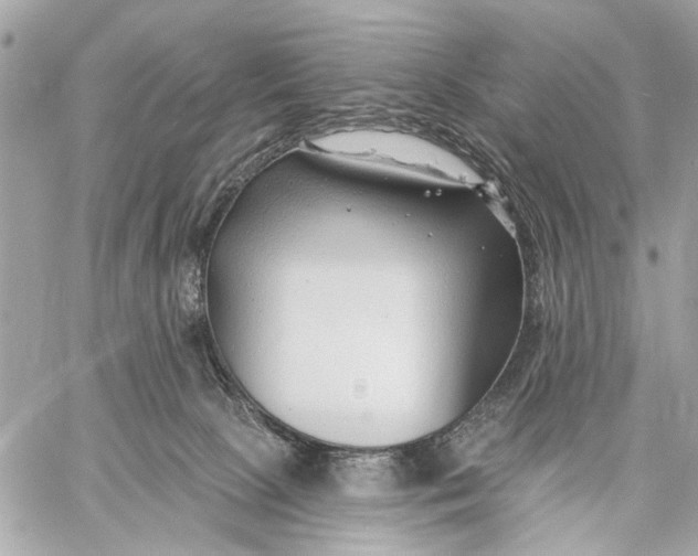 X0000059060081200510281643