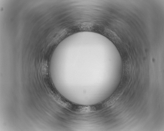 X0000059060083200510281643