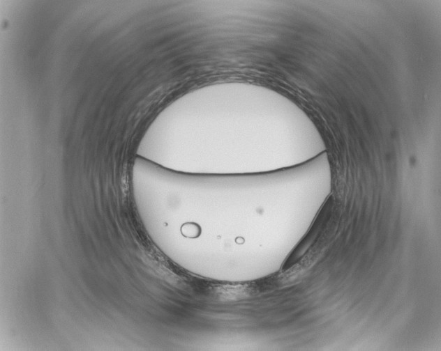 X0000059060085200510281643