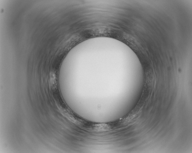 X0000059060087200510281643