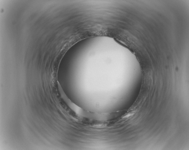 X0000059060088200510281643