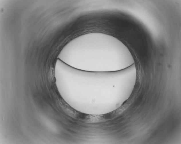 X0000059060093200510281643