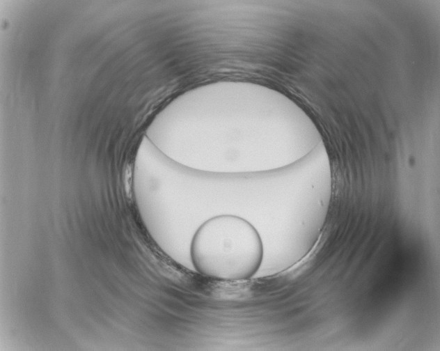 X0000059060094200510281643