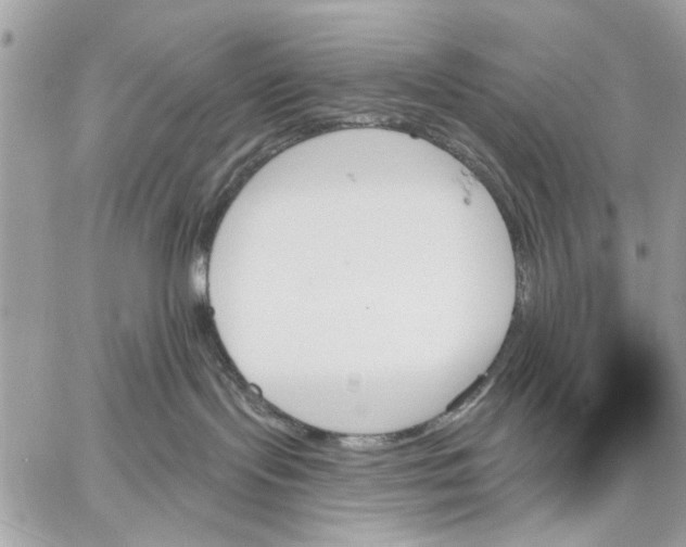 X0000059060095200510281643