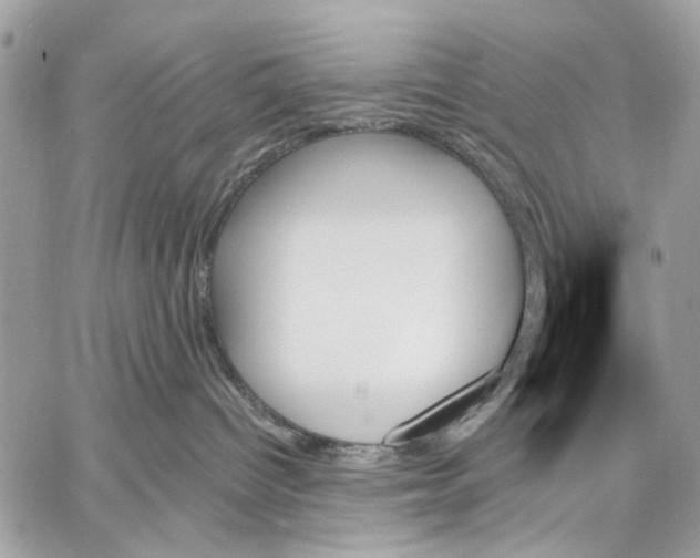 X0000059060096200510281643