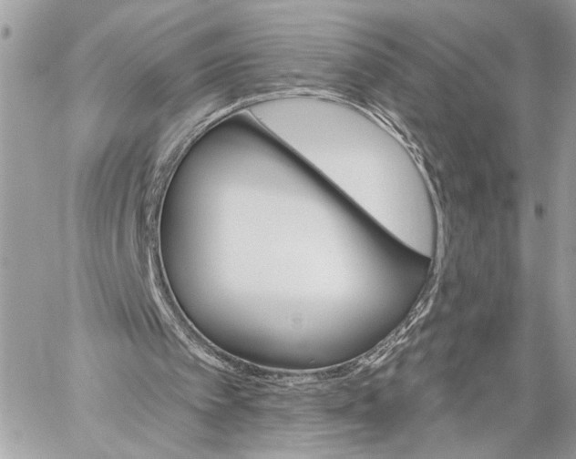 X0000059060097200510281643